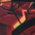 Click to visit CARTUCHERA SOBRE 8UY